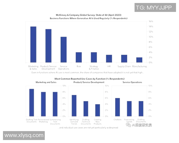 北京篮球队运营分析：成功经验与面临挑战的深度探讨