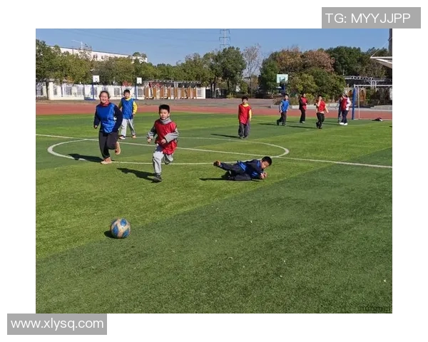 法语国家的足球巨星们如何在绿茵场上书写传奇故事