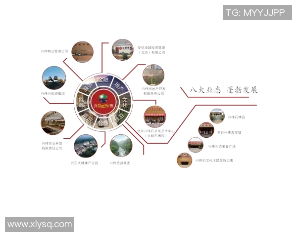 重庆排球队灵活性排名第二展现出卓越的技术与团队协作能力