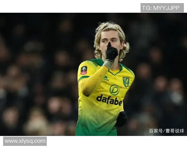 诺维奇足球队的崛起与挑战：探索英超联赛中的新机遇与发展