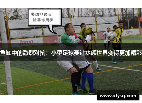 鱼缸中的激烈对抗：小型足球赛让水族世界变得更加精彩