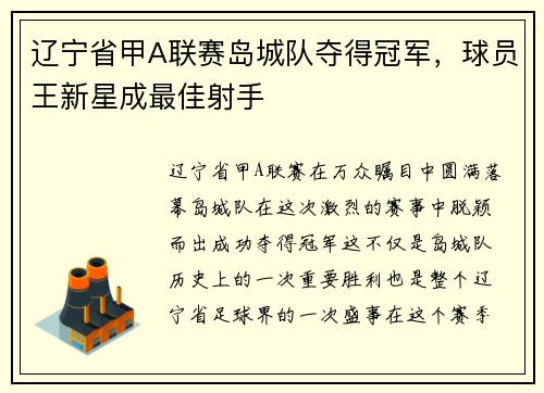 辽宁省甲A联赛岛城队夺得冠军，球员王新星成最佳射手