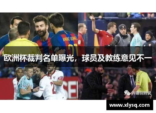 欧洲杯裁判名单曝光，球员及教练意见不一