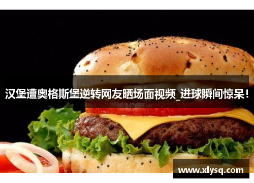 汉堡遭奥格斯堡逆转网友晒场面视频_进球瞬间惊呆！