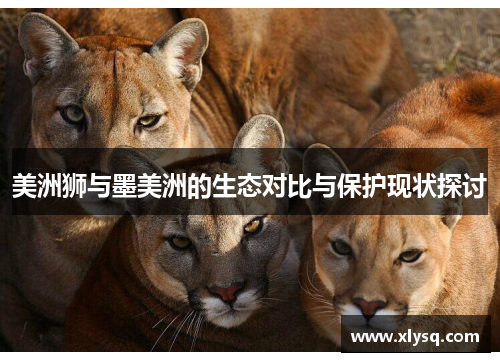 美洲狮与墨美洲的生态对比与保护现状探讨
