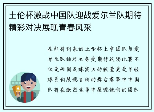 土伦杯激战中国队迎战爱尔兰队期待精彩对决展现青春风采
