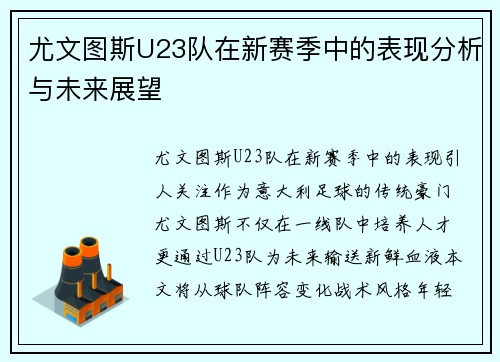尤文图斯U23队在新赛季中的表现分析与未来展望