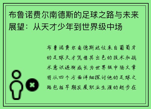 布鲁诺费尔南德斯的足球之路与未来展望：从天才少年到世界级中场